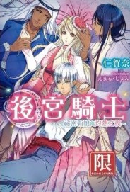 後宮騎士～祕密新娘與灼熱之楔～[二手書_良好]