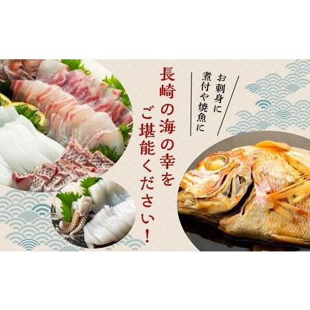 ふるさと納税 年内発送　長崎鮮魚セット（竹） 長崎県