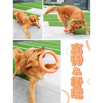 狗狗玩具球耐咬磨牙逗狗解悶神器泰迪博美小型犬寵物用品圓環膠圈