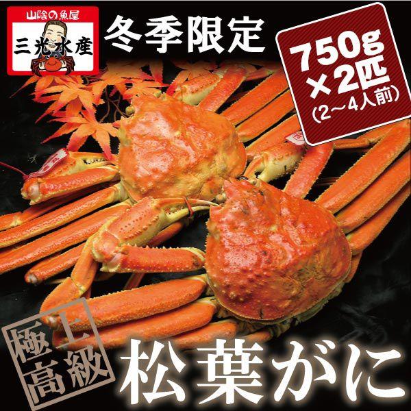 活ボイル　松葉がに(松葉ガニ かに 活 ボイル 松葉蟹 まつば )750g×2匹(2〜4人前) タグ付《送料無料》