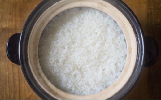 特別栽培米 伊賀米コシヒカリ 鞆田のつづみ 玄米 10kg（6ヶ月連続)