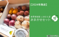 熱帯果樹園小池さん家　お任せセット（竹）