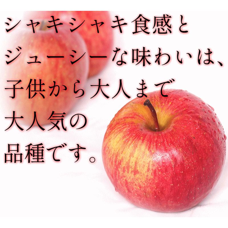 あすつく 青森 りんご 3kg箱 サンふじ 家庭用 送料無料 リンゴ 訳あり 3キロ 箱 旬シリーズ★サンふじ 家 3kg箱