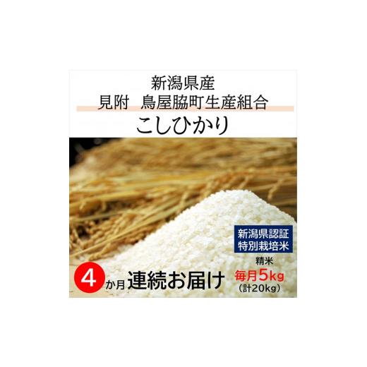 ふるさと納税 新潟県 見附市 令和5年産新潟産コシヒカリ（県認証特別栽培米）「鳥屋脇町生産組合コシヒカリ」精米5kg