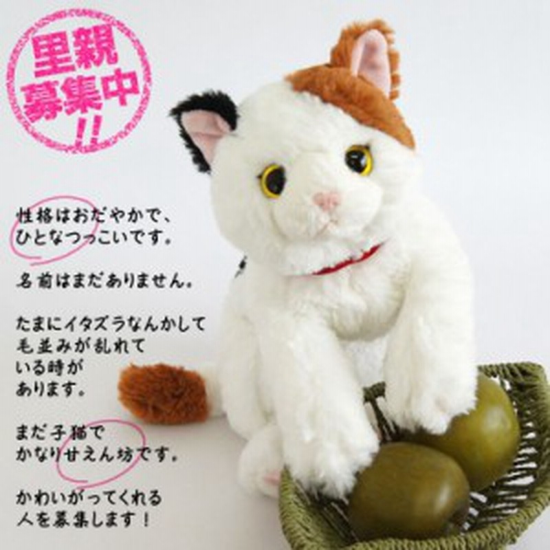 敬老の日 猫 ぬいぐるみ ギフト 誕生日 プレゼント 女性 癒しグッズ かわいい 子猫 小さい ミケ トラ ひざねこ 通販 Lineポイント最大1 0 Get Lineショッピング