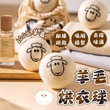 【現貨免運】羊毛烘衣球 羊毛球 烘衣球 乾衣球 烘乾球 羊毛烘乾球  防靜電 加速烘乾 防靜電 毛氈球
