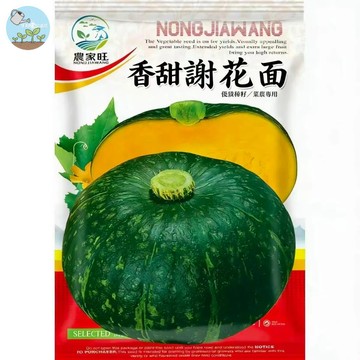 【原廠包裝】謝花面南瓜種子（Xiehua Face Pumpkin）15粒裝  台灣老品種 栗子香糯南瓜 可爬藤可盆栽