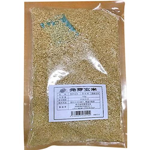 発芽玄米 業務用 10kg(1kg×10袋)　静岡県産コシヒカリ使用[佐川宅配便]