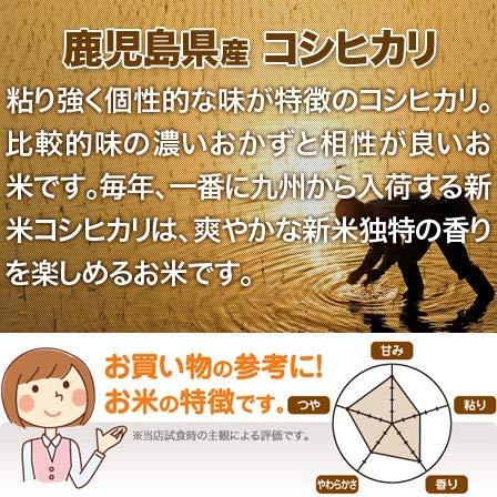 新米 鹿児島県産 コシヒカリ 白米 10kg (5kg×2袋) 令和5年産