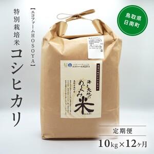 ふるさと納税 令和5年産 海と天地のめぐみ米（コシヒカリ） 白米10kg 鳥取県日南町