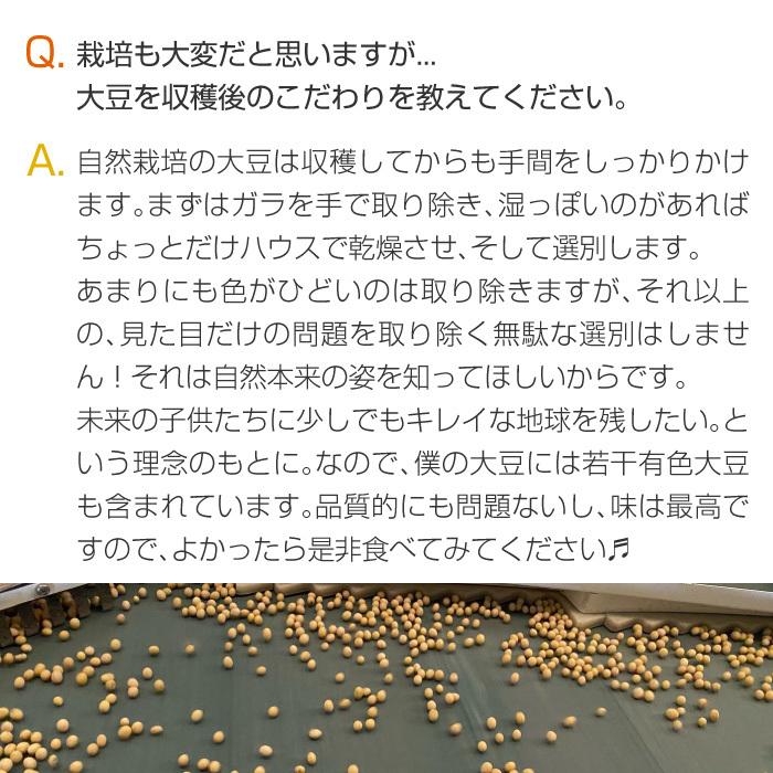 大豆ミート 大豆チップス オーガニック 国産  国産 250g 無農薬 無肥料 スーパーフード