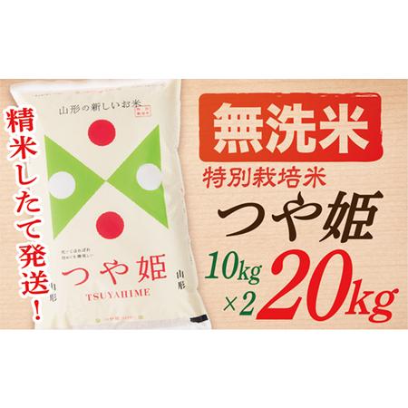 ふるさと納税 山形県産つや姫20kg(10kg×2袋) 山形県最上町