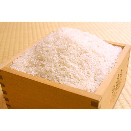 ふるさと納税 令和5年産「コシヒカリ」10kg（精米） 千葉県富津市