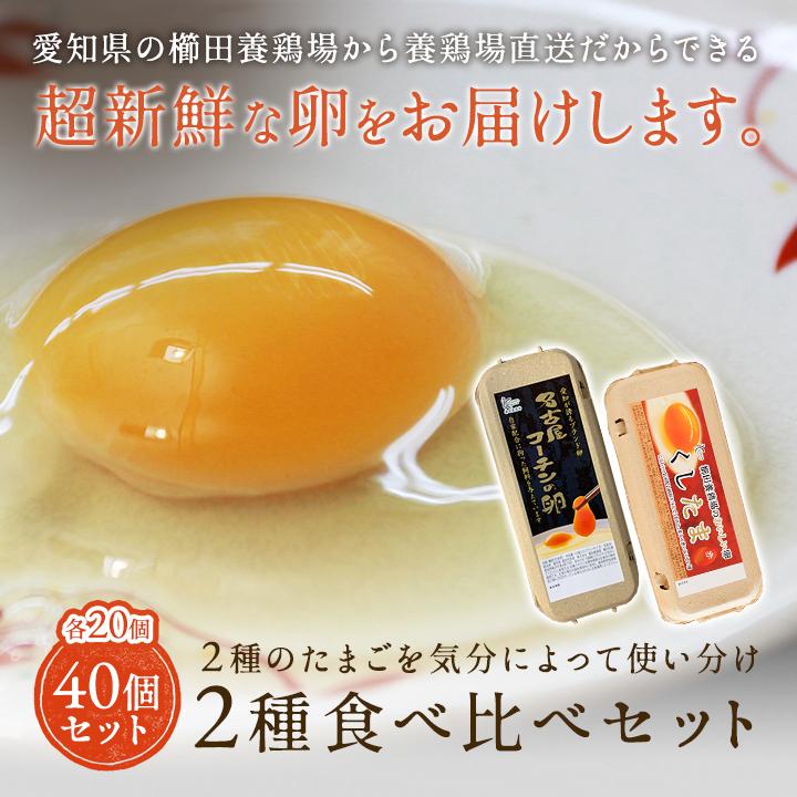 二種食べ比べセット商品 高級名古屋コーチンの卵（20個入り）＋くしたま赤卵（20個入り） 送料無料 合計40個入り(内破卵保障4個含む) 食品 卵 鶏卵 玉子 たまご