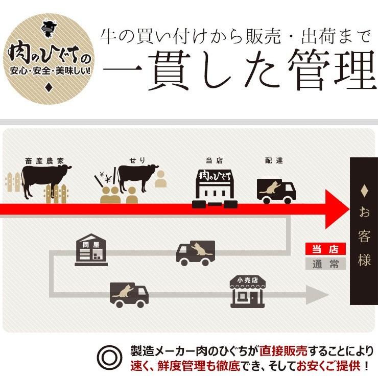 肉 牛肉 飛騨牛 牛丼の具 180g×5袋 レトルト 簡単調理 黒毛和牛 ギフト ストック お取り寄せ グルメ