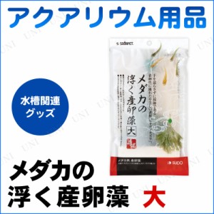 アクアリウム用品 メダカ浮く産卵藻 大 メダカ 水草 ペット用品 ペットグッズ 水槽用品 水槽用具 シダ植物 産卵用品 通販 Lineポイント最大1 0 Get Lineショッピング