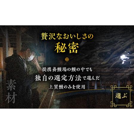 ふるさと納税 薩摩とろ鰻蒲焼二尾　K190-001 薩摩 さつま 鹿児島県 鹿児島市 鹿児島 大人気うなぎ 人気うなぎ 鹿児島産うなぎ 鹿児島県産う.. 鹿児島県鹿児島市