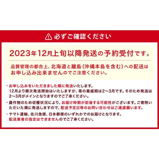 ふるさと納税 福岡県 遠賀町 あまおう 約280g×2パック 苺 イチゴ いちご 果物 フルーツ