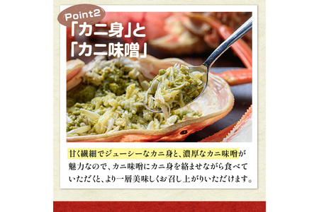 京丹後市産 未冷凍 茹で間人ガニ大善ガニ 特選 800g級 2匹セット（2024年1月～発送）