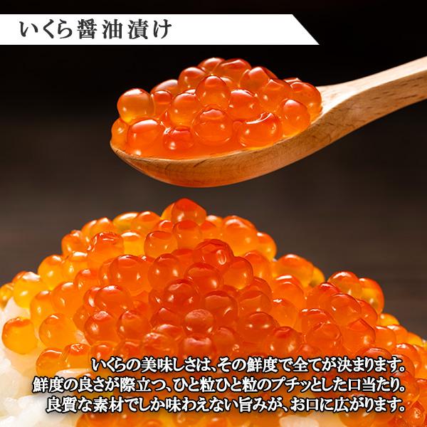 ふるさと納税 弟子屈町 いくら醤油漬け 80g×2個  ホタテ 300g 海鮮丼セット 北海道 弟子屈町 1312