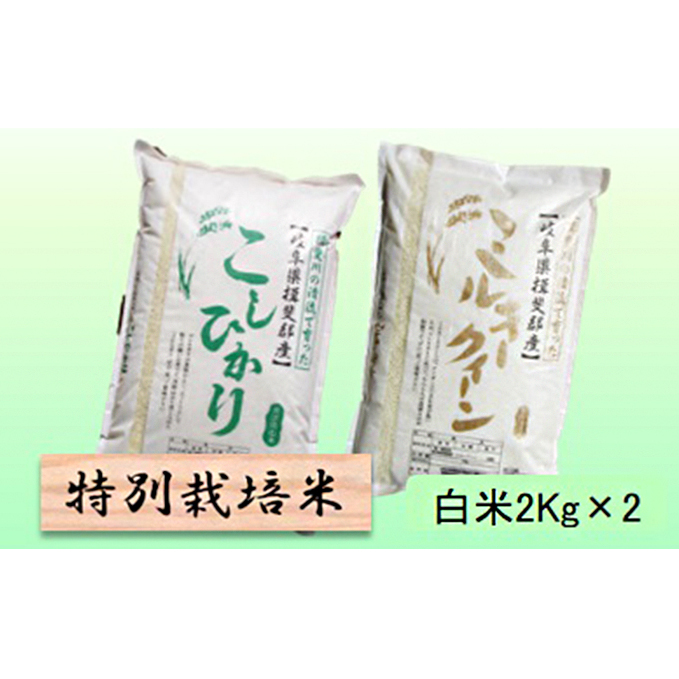 特別栽培米☆白米４kg