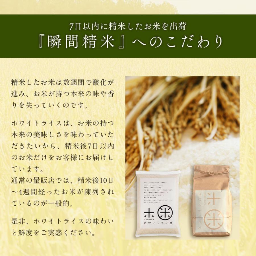 新米 令和5年度 ななつぼし 特別減農薬米CL 5kg 米 お米 北海道産 送料無料 選べる精米方法 無洗米 白米 玄米 放射能検査済