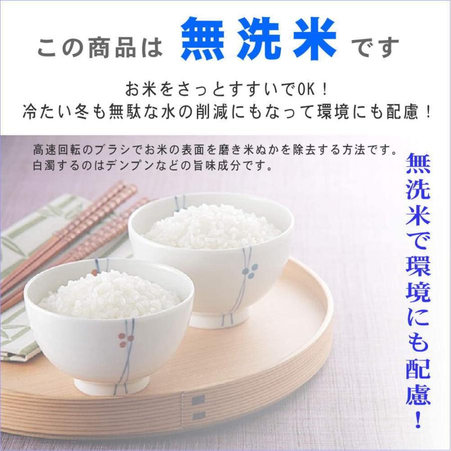 福島県田村産 無洗米 チヨニシキ 5kg 令和5年産