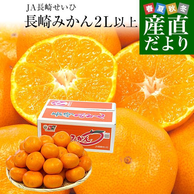 長崎県より産地直送 JA長崎せいひ 長崎みかん ２L以上の大玉 5キロ（20玉から35玉前後） 蜜柑 ミカン　送料無料　御歳暮 お歳暮