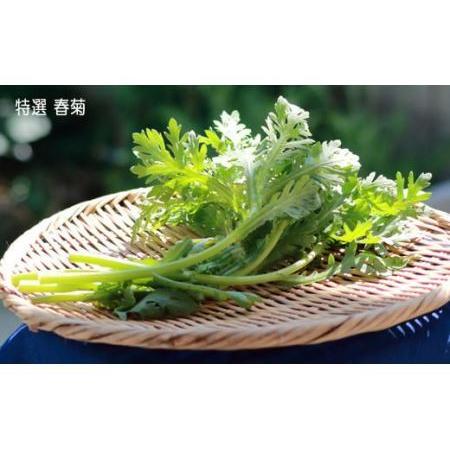 ふるさと納税 いわき浜の野菜セット（いわき市産の野菜詰め合わせセット） 福島県いわき市