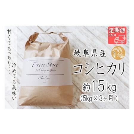 ふるさと納税 T rice Store 岐阜県産コシヒカリ（玄米） 約15kg(5kg×3回） 岐阜県垂井町