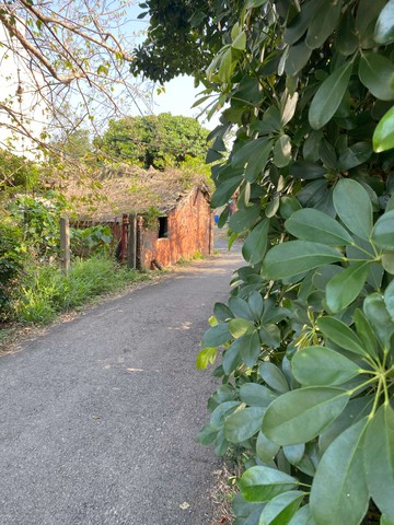 大雅近中科臨公園預定地大面寬農建地台中不動產仲介｜台中市大雅區六雅段