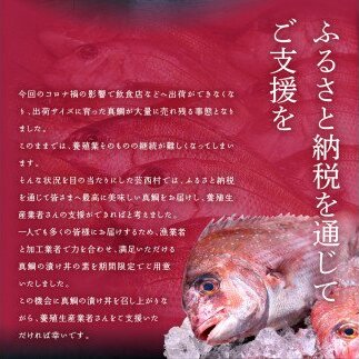 海鮮「真鯛の漬け丼の素」1食80g×5P＋「訳ありカツオのたたき」600g以上《迷子の真鯛を食べて応援 養殖生産業者応援プロジェクト》 応援 惣菜 そうざい冷凍 保存食 小分け パック 高知 海鮮丼