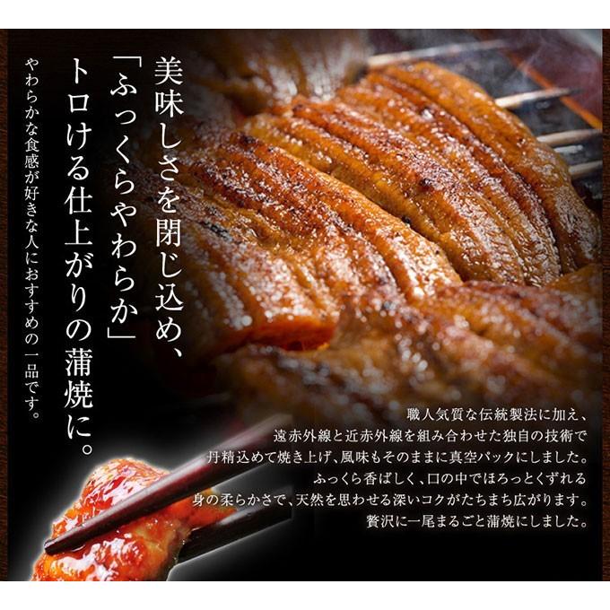 国産うなぎ蒲焼き うな重 セット ギフト 送料無料 うなぎ 蒲焼き お取り寄せ 母の日 父の日 中元 お中元 御中元 歳暮 お歳暮 御歳暮