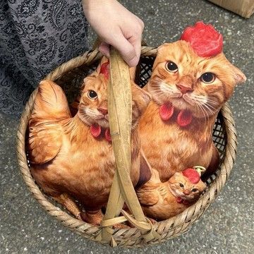 👍特價狂潮👍仿真哈雞咪毛絨  玩具  3D靠墊可愛小雞  掛件    玩偶  抱枕女生兒童搞怪禮物