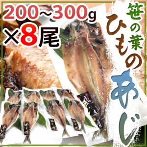 ”笹の葉ひもの あじ” 約200～300g×8尾 鯵の干物 送料無料