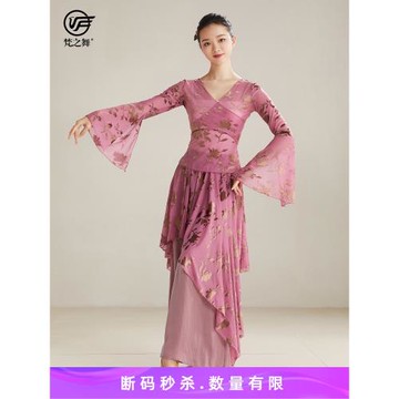 梵之舞中國風古典舞蹈服女飄逸練功演出服裝身韻紗衣闊腿裙褲套裝
