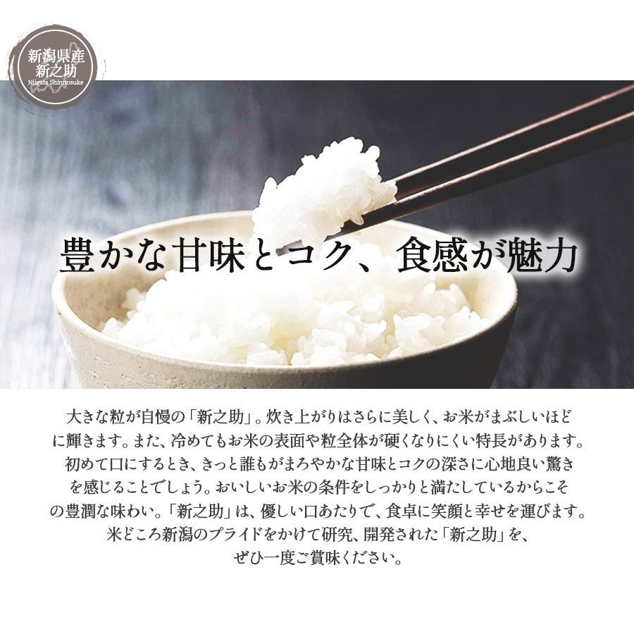 新之助 お米 10kg 白米 送料無料 新米 安い 新潟県産 しんのすけ 令和5年産 産地直送 米 国産 国内産 10キロ ブランド米 ギフト 父の日 母の日 敬老の日