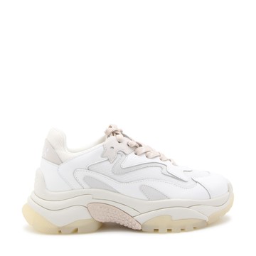 Ash - White And Grey Leather Sneakers