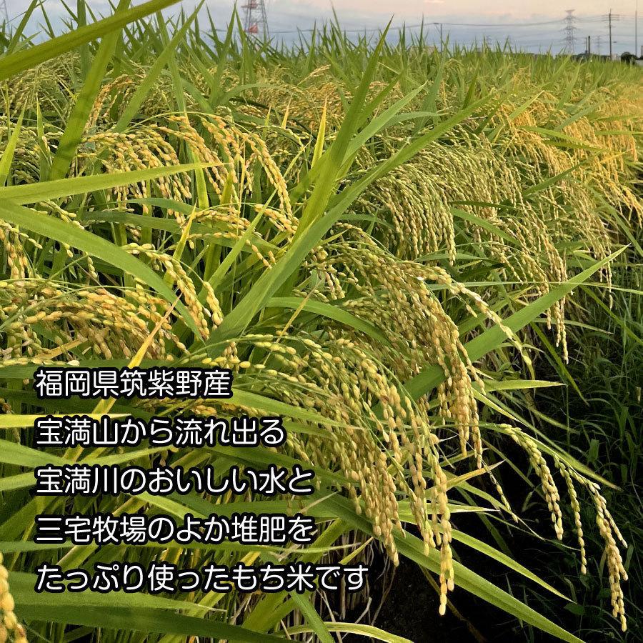 正月 鏡餅 真空パック (2kg／常温発送）年末お届け