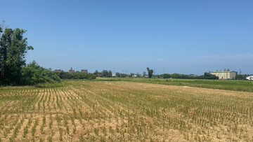 觀音近66快速道路正桃大路面寬農地｜桃園市觀音區茄苳坑段兩座屋小段