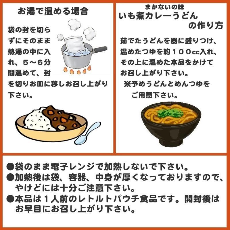 やまがた いも煮カレー10袋[いも煮カレー×10袋]