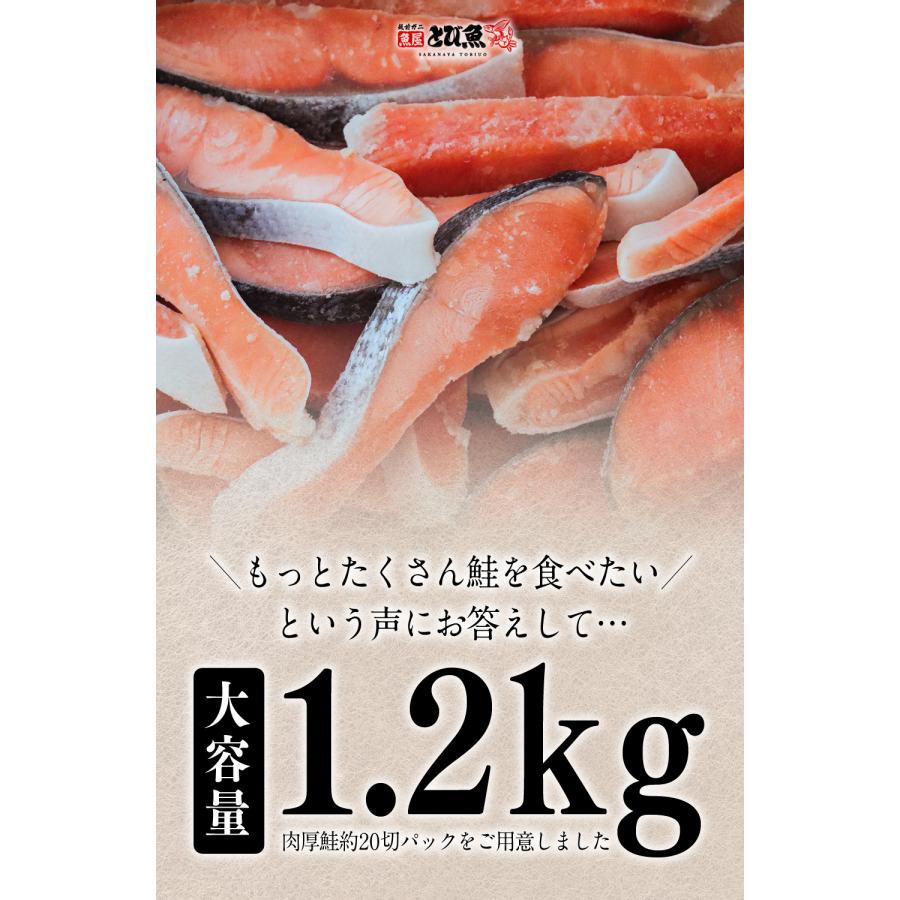 無塩 銀鮭 鮭 切り身 1.2kg (肉厚 約20切) 骨なし 骨無し 切り身 サーモン さけ しゃけ 鮭 骨なし魚 きりみ