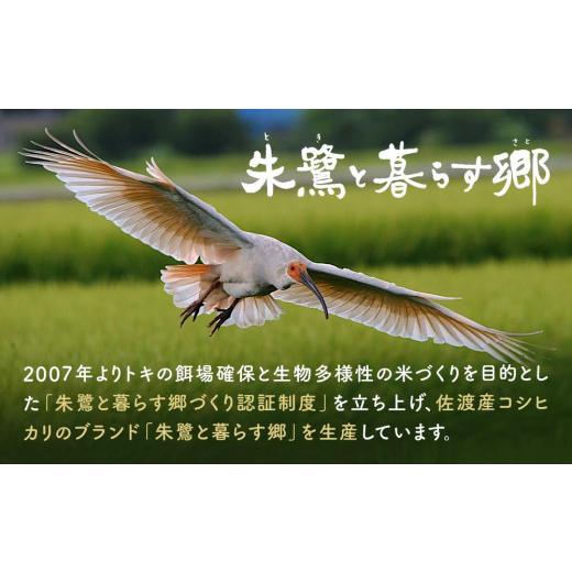 ふるさと納税 新潟県 佐渡市 「朱鷺と暮らす郷」佐渡産コシヒカリ（玄米5Kg）