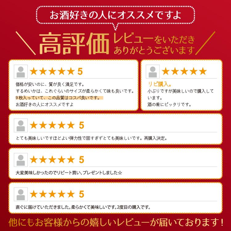 お歳暮 〈超徳用〉北海道産するめいか６袋(合計600g)