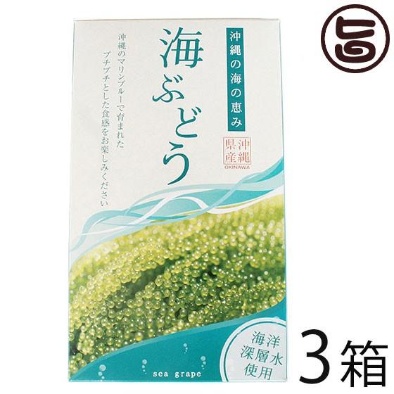 海ぶどう 120g×3箱 グローアップコーポレーションF 海洋深層水使用 海藻 うみぶどう 沖縄 土産 定番 人気