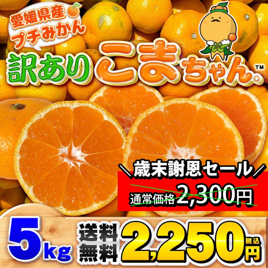 訳あり こまちゃん 5kg 愛媛県産 小玉みかん 自宅用 家庭用 訳あり 箱買い 小粒 早生 蜜柑 5キロ