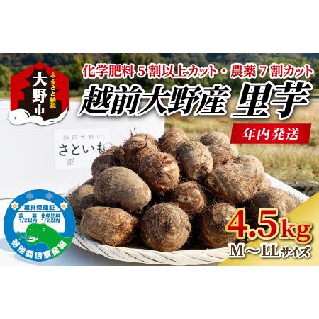 ふるさと納税 越前大野産 里芋 4.5kg 化学肥料5割以上カット・農薬7割カットの特別栽培 農家直送 さといも [A-008001] 福井県大野市