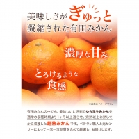 ＜先行予約＞家庭用　超熟有田みかん8kg 240g（傷み補償分） 池田鹿蔵農園@日高町（池田農園株式会社）《11月上旬-1月中旬頃より順次出荷》和歌山県 日高町