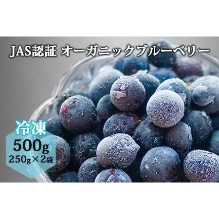 ふるさと納税 有機JAS認証オーガニックブルーベリー 500g 熊本県阿蘇市