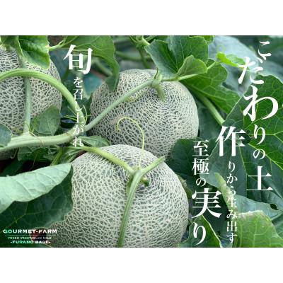 ふるさと納税 富良野市 富良野メロン(赤肉)夏ギフト秀品4玉入1.8kg〜